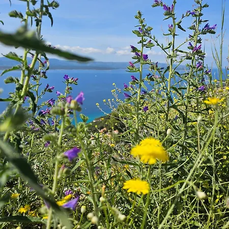 아파트 Paul Et Nana 트로기르