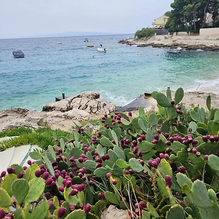 Paul Et Nana 트로기르