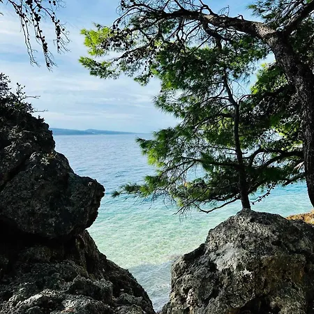 Appartement Paul Et Nana